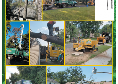 8.5x11 Leave Behind/Letter